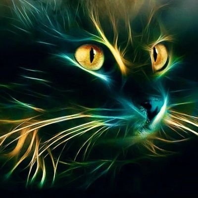 ILTGH75's profile picture. 🙋‍♂️