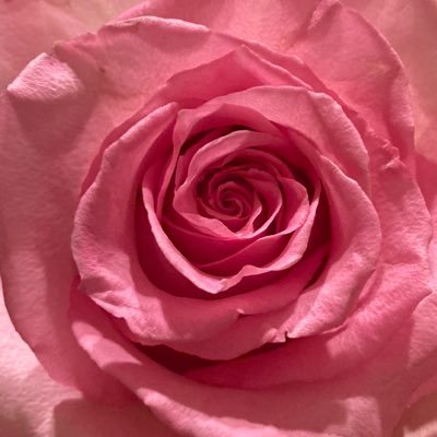 KernerMLS's profile picture. Jesus follower, Mom, loves books, CrossFit, LOTR, classic rock, and Origami Button.