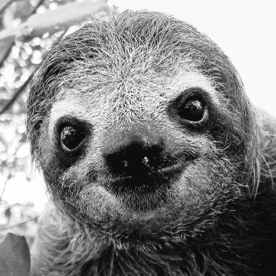 ChosenCREATURE's profile picture. Not much ..