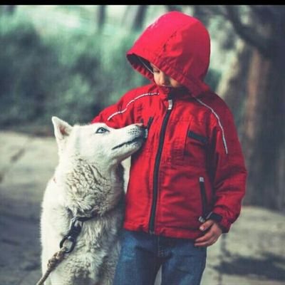 christo58535987's profile picture. Am social