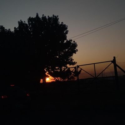 woespinosa1's profile picture. 