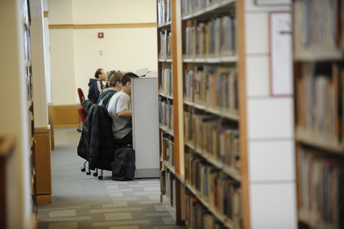 We want to know more about how the people of Des Plaines seek out and use information in the digital age.