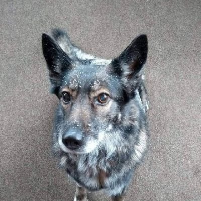 mattwags1986's profile picture. 