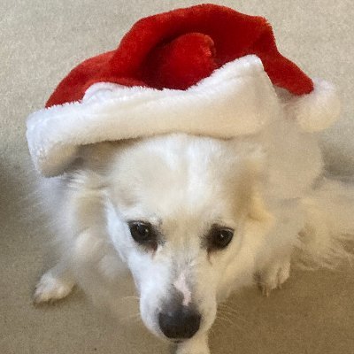 MarcHorseman's profile picture. Software Engineer. Investor.