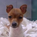 luis collazos - @luis_boston617 - Twitter