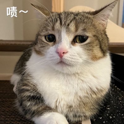 LizziLv's profile picture. 