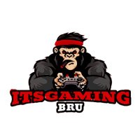 itsgamingbru(@itsgamingbru) 's Twitter Profile Photo