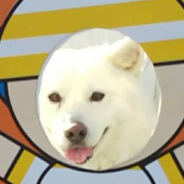 MnJ7itVumhVhv5D's profile picture. 第2の人生・365日休み・・ 動画編集楽しいね！！