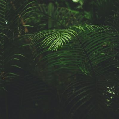 Qwerty08007's profile picture. 