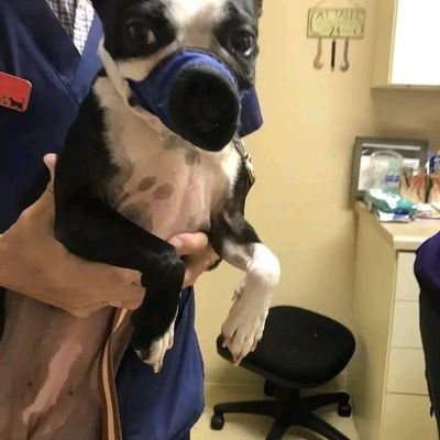 pushpeshpant15's profile picture. sometimes teacher.obsessed by food.trying to reinvent himself everyday.RETWEETS AREN'T ENDORSEMENTS! some are accidental.