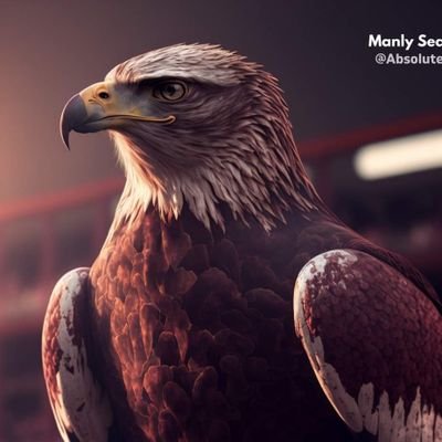 sean_reggie123's profile picture. ⚽ Man United, Celtic FC, WS Wanderers 🏉Manly Sea Eagles 🏉Sydney Swans 🏈Packers 🏀 Boston Celtics