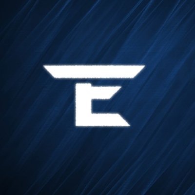 Team Eternal originated as a Steam community of casual players and influencers now expanding into pro teams across all types of games.