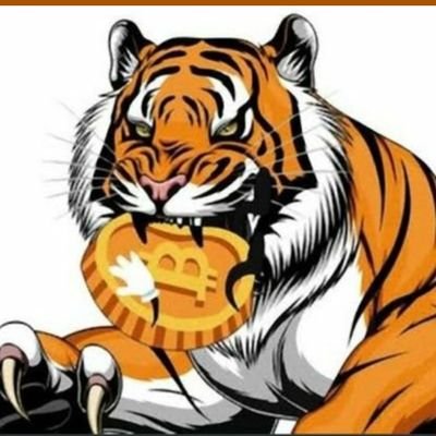Cryptiger4 Profile Picture