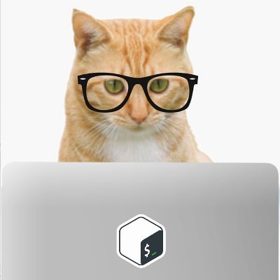 Meow 😺 | Cyber Security Enthusiast | Hackthebox Player | TryHackme Player