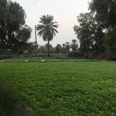 كويتي الولاء والإنتماء أقول الحق ولا أخشى الا الله .. القناعة كنز والكرامة رأس المال