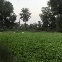 كويتي حر 🇰🇼 (@tatwirr) 's Twitter Profile Photo كويتي حر 🇰🇼 (@tatwirr) 's Twitter Profile Photo