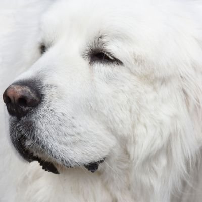 poc2022ket_zero's profile picture. 音楽｜お笑い｜イマソラ｜自然｜DMは受け付けていません。