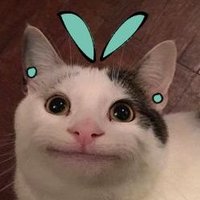 🔪 (@instability2222) 's Twitter Profile