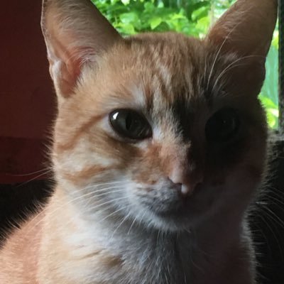 janeestioco08's profile picture. EDUCATION AND FOR BUSINESS