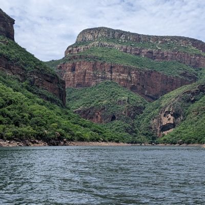 Angelica_G_E's profile picture. MPhil candidate researching problem-solving ability in Brushtail Possums