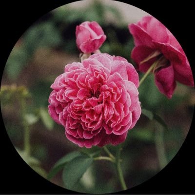 right_justly's profile picture. Politics and Philosophy.