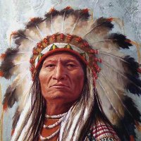 Native American(@Natives_roots) 's Twitter Profile Photo