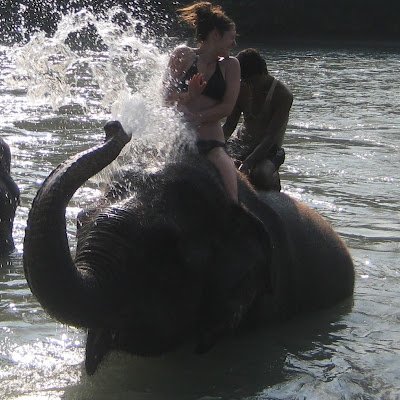 Rebecca10037846's profile picture. 