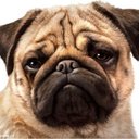 Thanh Lan Triệu - @ThanhLanTriu4 - Twitter