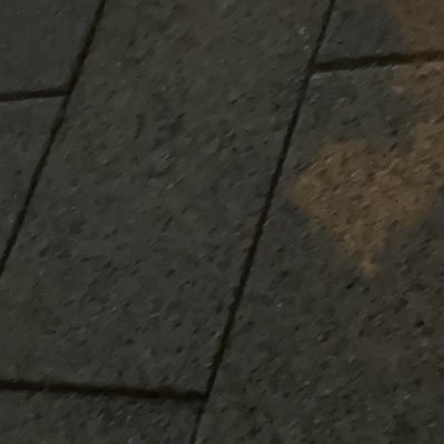 アイシャ🦊👺さんのプロフィール画像
