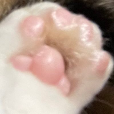 tsutinokoさんのプロフィール画像