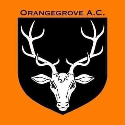 The friendliest athletic club for minis, juniors and seniors ... based in East Belfast - working together to accomplish more. 🍊🦌