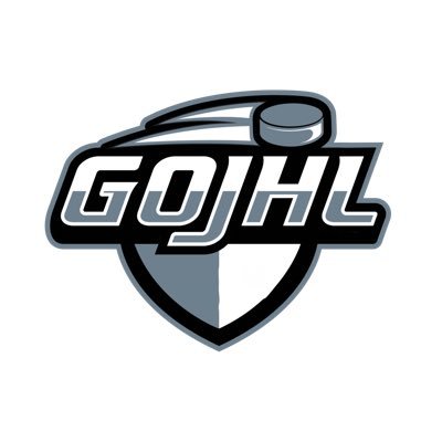 We are a NHL 23 6s PS4 professional league
