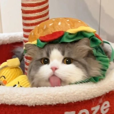 zsyiii_o5's profile picture. 