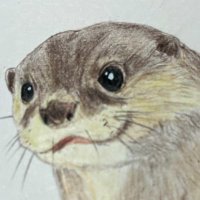 フィクサー (@fixer_kawauso) 's Twitter Profile