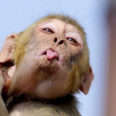 mzwamabel's profile picture. 