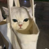 ccaay (@_ccaawww) 's Twitter Profile