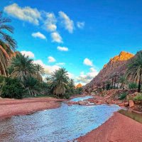 …مُتَرَوٍّ… (@tradercycle) 's Twitter Profile