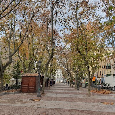 vivoenelbulevar's profile picture. 