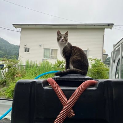 9zzF4's profile picture. 競走馬の生産牧場です