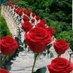 ♥️⚘Parafraseando⚘♥️ (@eulaliaruiz) Twitter profile photo ♥️⚘Parafraseando⚘♥️ (@eulaliaruiz) Twitter profile photo