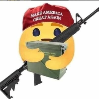 Blocked & soon banned by twitter for honesty and truth, American conservative. VIETNAM VETERAN. God Bless America.
Trump is my President. I am 100% MAGA!