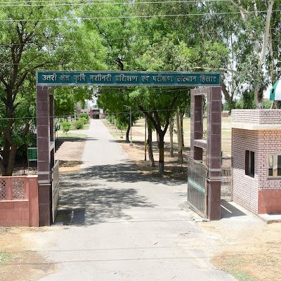 Nrfmtti_Hisar's profile picture. 