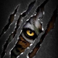 كريستال 🕥❤💛❤ (@am5am55) 's Twitter Profile