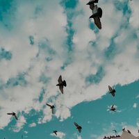 AY IŞIĞI 🌸 (@adalet2022) Twitter profile photo