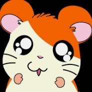 anissar08889385's profile picture. 