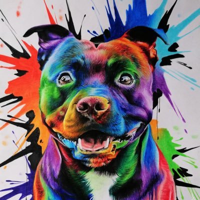 CyrFili8's profile picture. si j’avais su j’aurais pas vnu