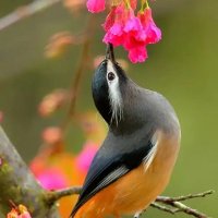 Theda (@theda73535484) 's Twitter Profile
