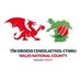 Wales National County (North) 🏴󠁧󠁢󠁷󠁬󠁳󠁿🏏 (@WalesNCNorth) Twitter profile photo