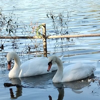 KAITO95356773's profile picture. 