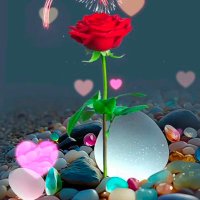 wasique ahmad (@wasiquecool) 's Twitter Profile